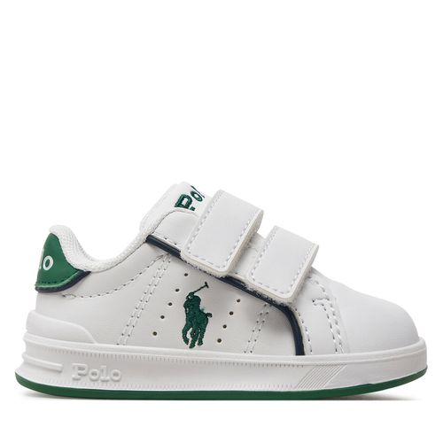 Sneakers Polo Ralph Lauren RL00059110 White Smooth/Green W/Green Pp - Chaussures.fr - Modalova