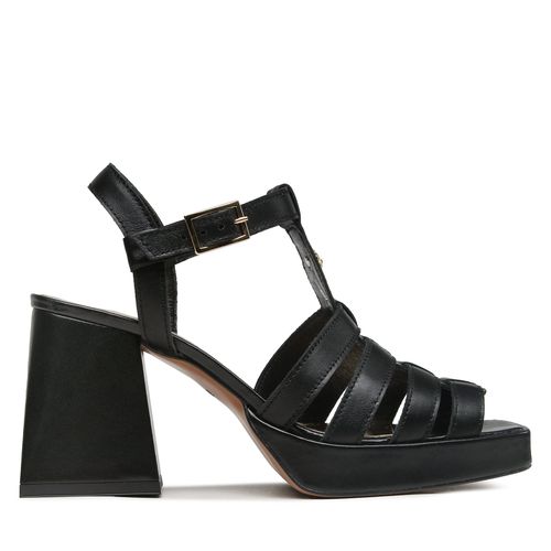 Sandales Karino 4550/076 Noir - Chaussures.fr - Modalova