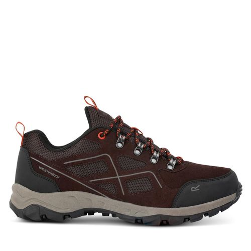 Chaussures de trekking Regatta VendeavorSuedeLow RMF837 Peat / Blaze Orange 2BV - Chaussures.fr - Modalova