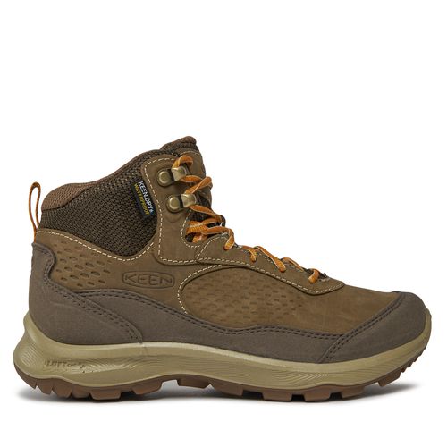 Chaussures de trekking Keen Terradora Explorer Mid Wp 1027924-10 Canteen/Curry - Chaussures.fr - Modalova