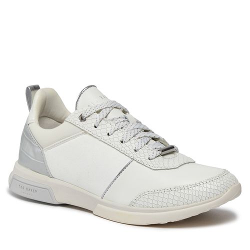 Sneakers Ted Baker 248387 White - Chaussures.fr - Modalova