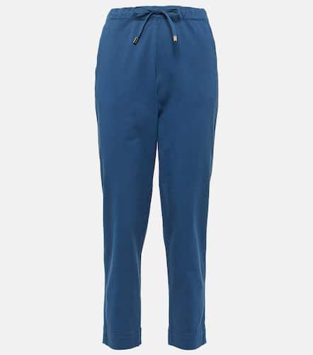 Pantalon raccourci Terreno en coton - Max Mara - Modalova