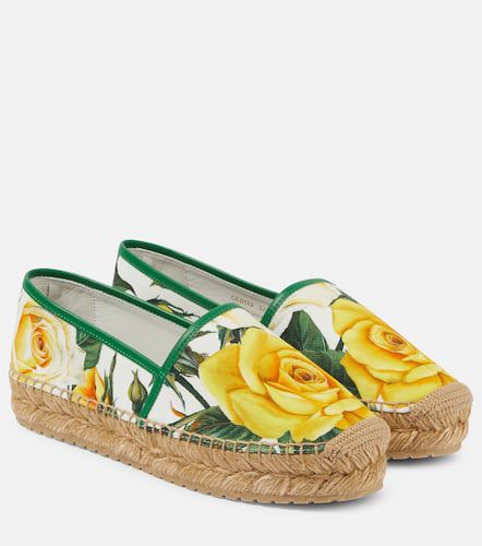 Espadrilles en toile à fleurs - Dolce&Gabbana - Modalova