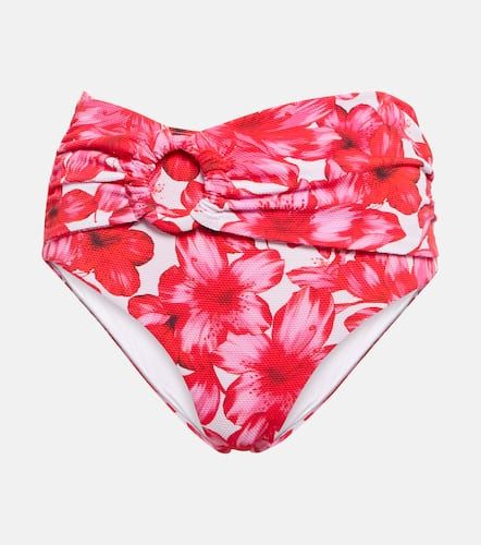 Culotte de bikini Dorit à fleurs - Alexandra Miro - Modalova