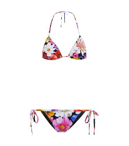 Bikini triangle à fleurs - Dolce&Gabbana - Modalova