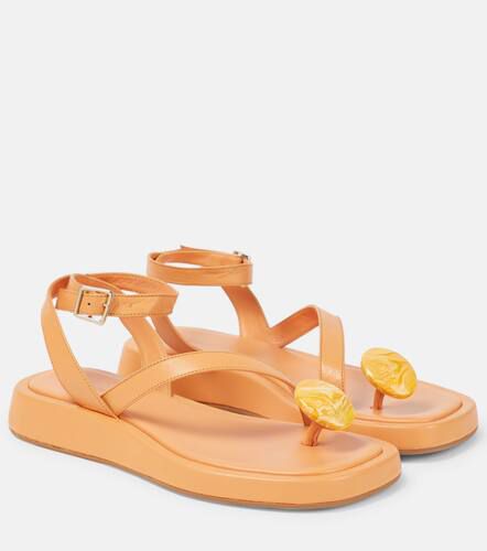 GIA/RHW – Sandales Rosie 18 en cuir - Gia Borghini - Modalova