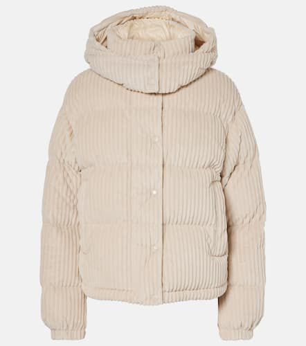 Veste doudoune Daos en velours côtelé - Moncler - Modalova