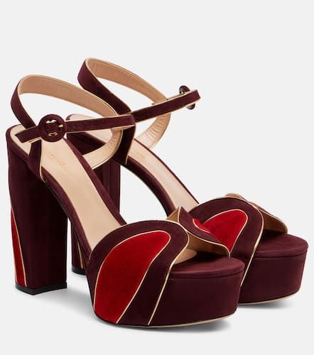 Sandales  plateforme 125 en daim - Gianvito Rossi - Modalova