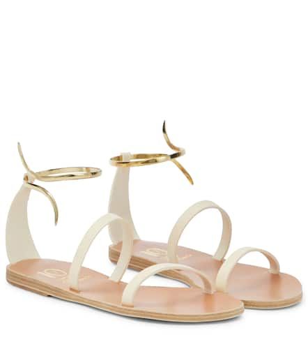 Sandales Crouching Venus en cuir - Ancient Greek Sandals - Modalova