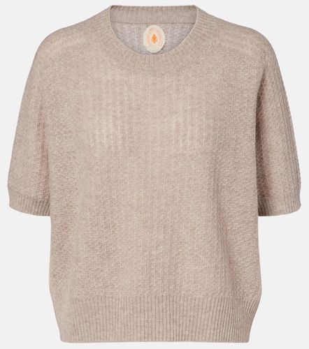 Pull en cachemire - Jardin des Orangers - Modalova