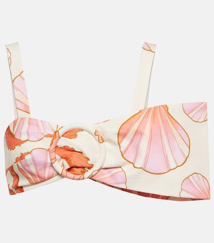 Haut de bikini Seashell - Adriana Degreas - Modalova