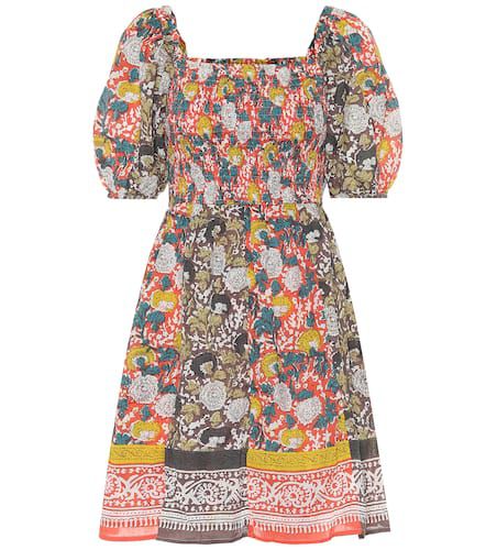 Robe Taria en coton à fleurs - Velvet - Modalova