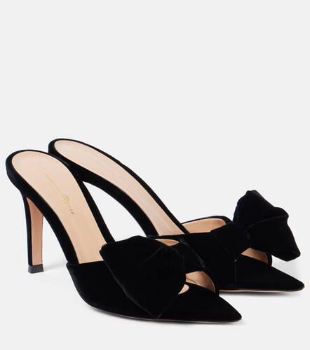 Gianvito Rossi Mules 85 en velours - Gianvito Rossi - Modalova