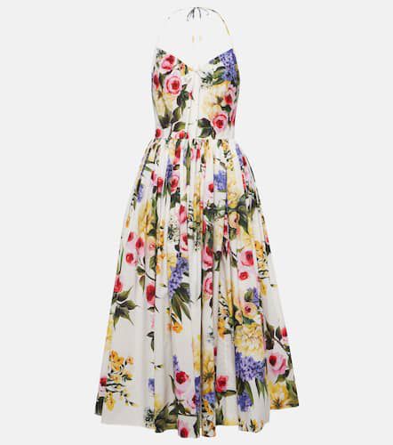 Robe midi en coton à fleurs - Dolce&Gabbana - Modalova