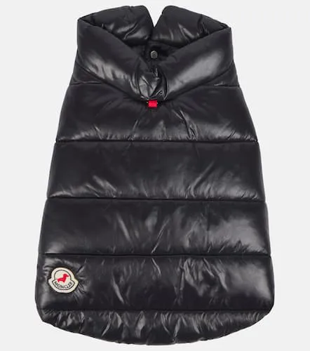 Manteau pour chien Poldo Dog Couture - Moncler - Modalova