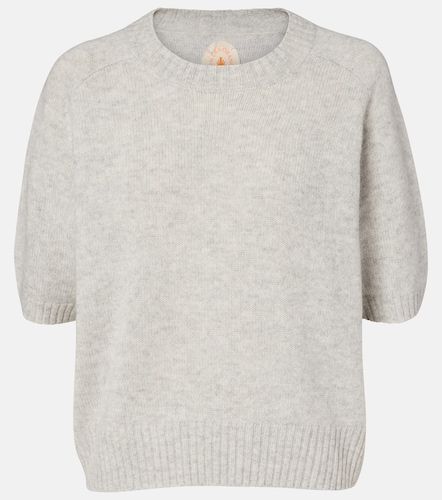Pull en cachemire - Jardin des Orangers - Modalova