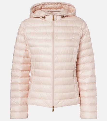 Moncler Doudoune Igelhood - Moncler - Modalova