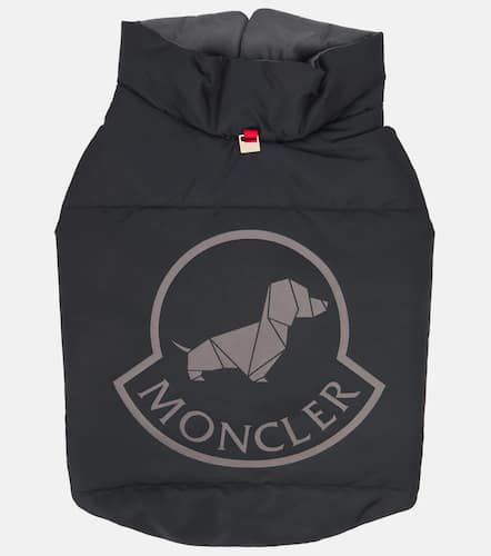 Manteau pour chien Poldo Dog Couture - Moncler - Modalova