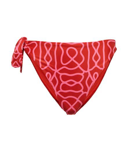 Culotte de bikini Coral imprimée - Agua by Agua Bendita - Modalova