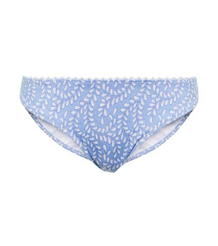 Culotte de bikini Fiji imprimée - Heidi Klein - Modalova