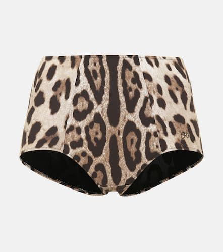 Culotte de bikini à motif léopard - Dolce&Gabbana - Modalova