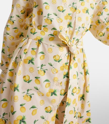 Robe chemise Boero imprimée en coton - Sportmax - Modalova