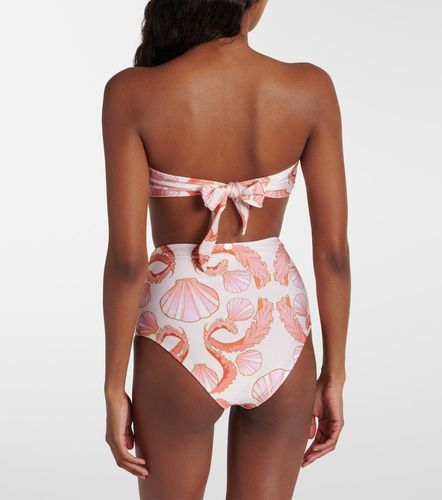 Bikini taille haute Seashell - Adriana Degreas - Modalova