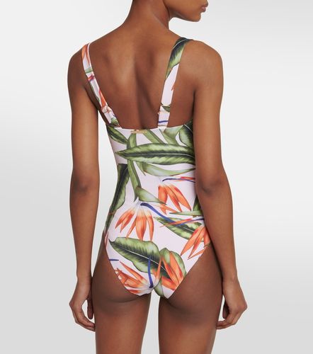 Maillot de bain Carla à fleurs - Alexandra Miro - Modalova