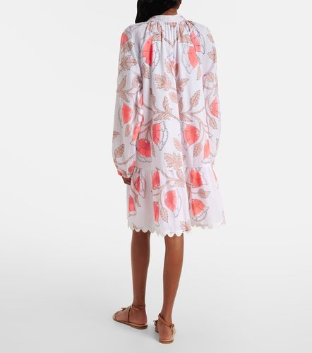 Juliet Dunn Robe imprimée en coton - Juliet Dunn - Modalova
