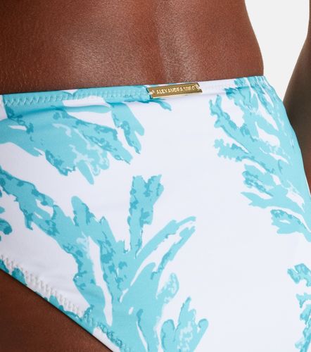 Culotte de bikini Giulia imprimée - Alexandra Miro - Modalova