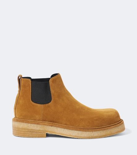 Bottines Chelsea Haddock en daim - Bottega Veneta - Modalova