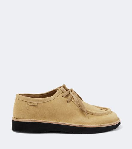 Loewe Derbies Faro en daim - Loewe - Modalova