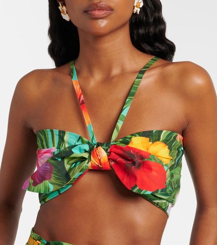 Brassière en coton à fleurs - Dolce&Gabbana - Modalova