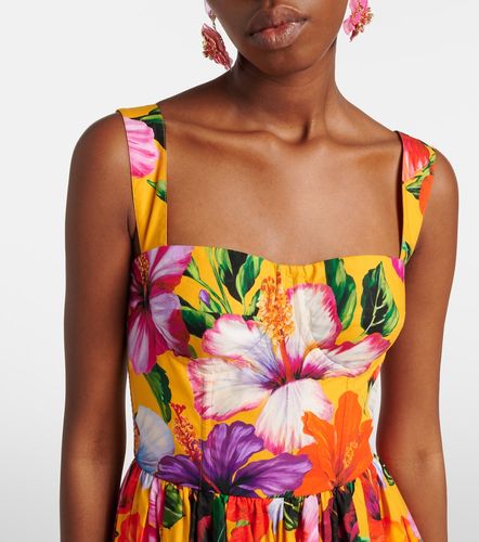 Robe en coton à fleurs - Dolce&Gabbana - Modalova
