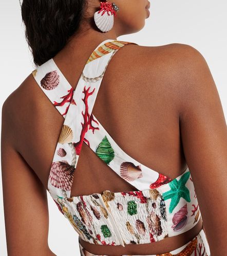 Crop top Capri en coton à imprimé - Dolce&Gabbana - Modalova