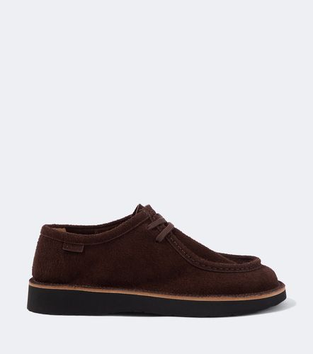 Loewe Bottines Desert Faro en daim - Loewe - Modalova