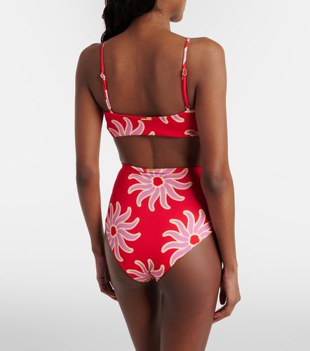 Culotte de bikini Elisa imprimée - Cala de la Cruz - Modalova