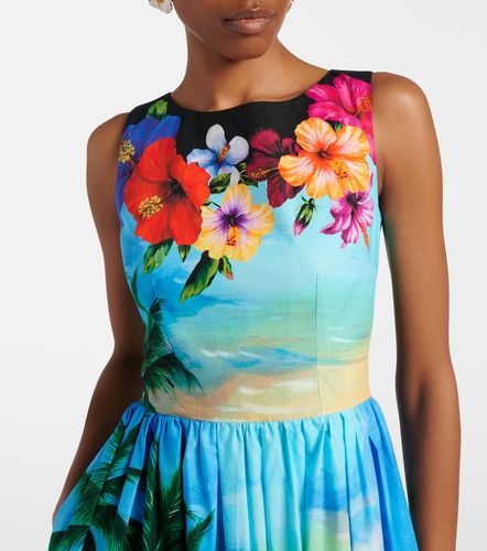 Robe midi en coton à imprimé - Dolce&Gabbana - Modalova