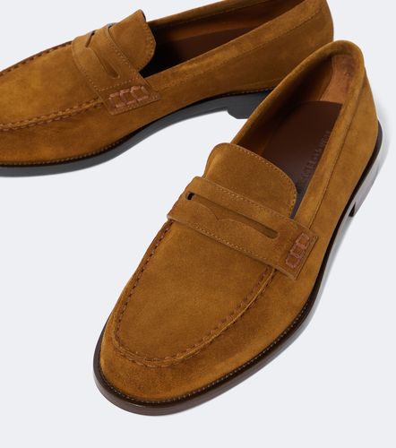 Mocassins Perry en daim - Manolo Blahnik - Modalova