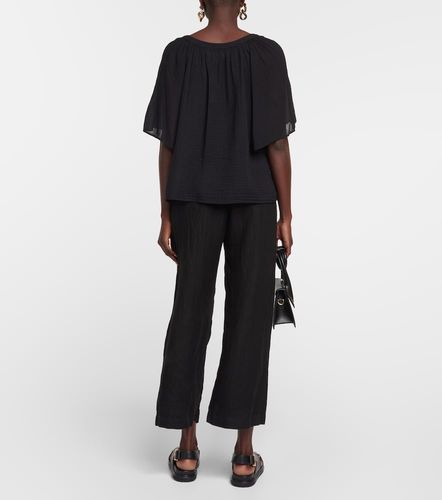 Velvet Top Belle en coton - Velvet - Modalova
