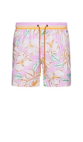 SHORT DE BAIN JOE in . Size 32, 34, 36, 38 - Agua Bendita - Modalova