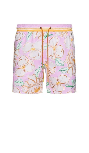 SHORT DE BAIN JOE in . Size 36, 38 - Agua Bendita - Modalova