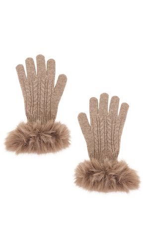 GANTS CASHMERE in - Adrienne Landau - Modalova