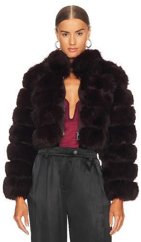 GILET FOX FUR in . Size S - Adrienne Landau - Modalova