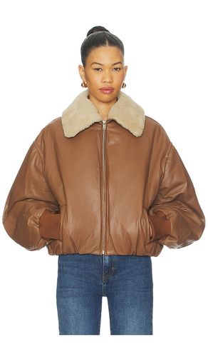BOMBER EN CUIR en . Taille S. Also en XS - AEXAE - Modalova