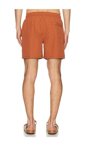 MAILLOT DE BAIN en . Taille S. Also en M, L, XL/1X - AUTO-REPLY - Modalova