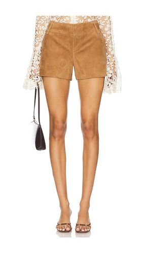 Cady Suede Short in . Size 4 - Alice + Olivia - Modalova