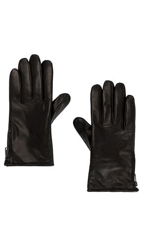 ALLSAINTS GANTS in Black - ALLSAINTS - Modalova