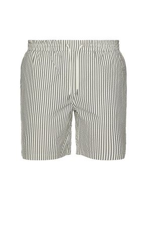 SHORT DE BAIN WARDEN in . Size M, S, XL/1X - ALLSAINTS - Modalova