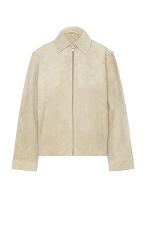 BLOUSON TACOMA in . Size XL/1X - ALLSAINTS - Modalova
